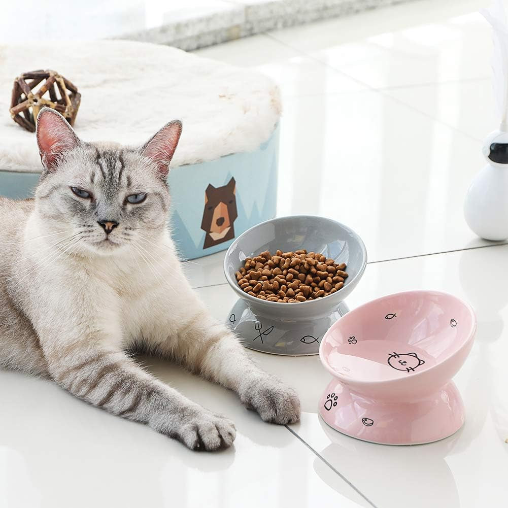 Ceramic Raised Cat Bowls, Slanted Cat Dish Food or Water Bowls, Elevated Porcelain Pet Feeder Bowl Protect Cat'S Spine, Stress Free, Backflow Prevention (Gray)