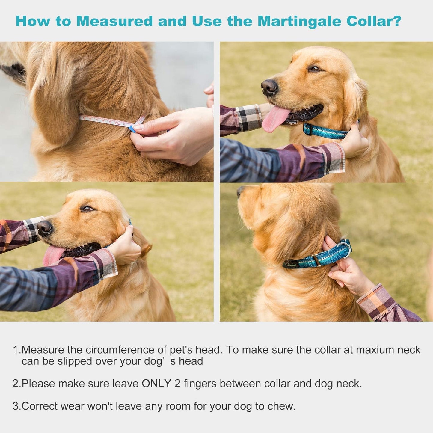 Martingale Dog Collar No Pull Pet Collar Heavy Duty Dog Martingale Collars Silky with Unique Geometric Pattern for Medium and Large Dogs (Large, Turquoise)